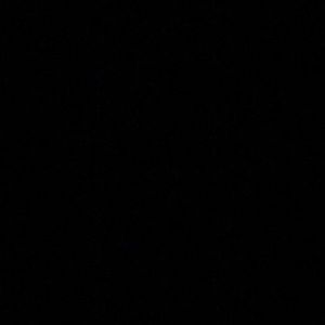 Meet your Posher, Rosey